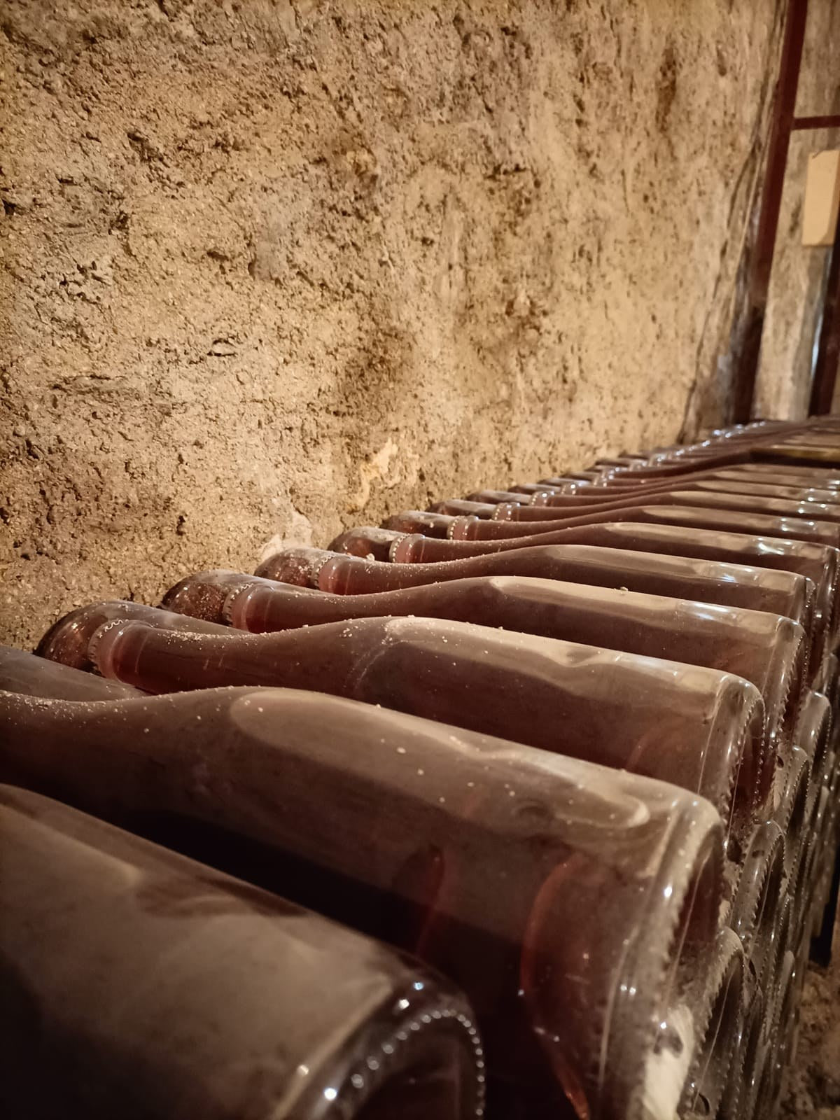 Rijpende flessen in de kelder van Champagne Laval