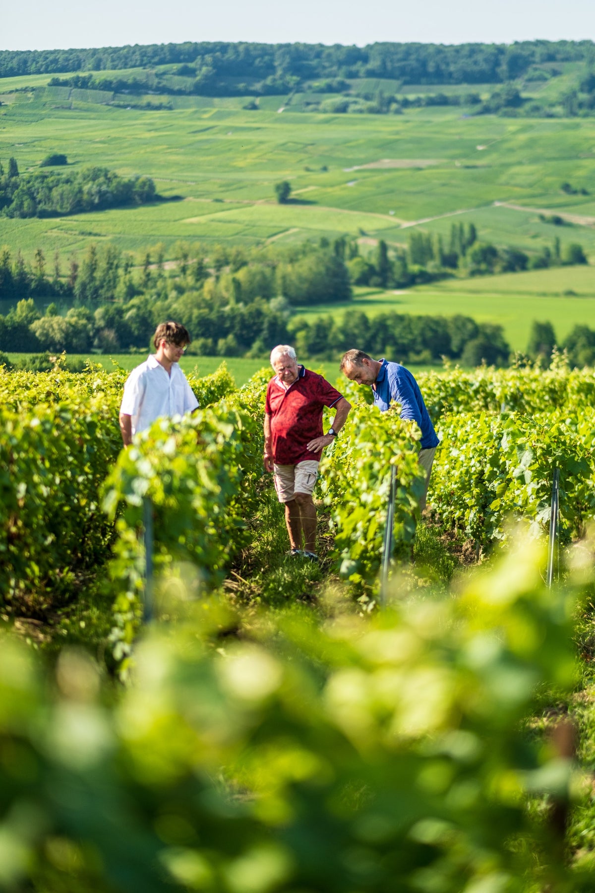 Drie generaties Michez in de wijngaard van La Villesenière