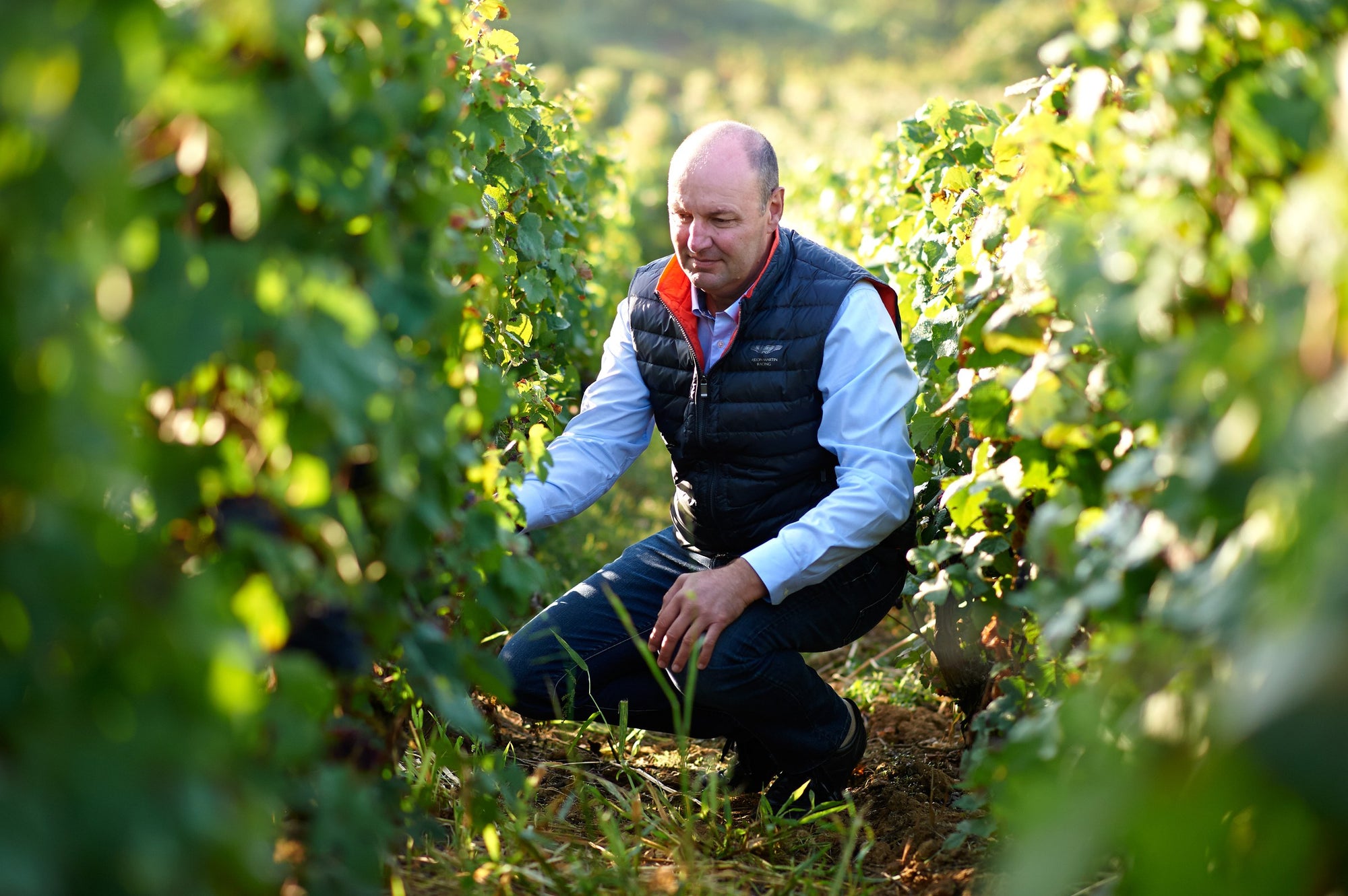 Wijngaarden van Champagne Régis Poissinet in de Vallée de la Marne