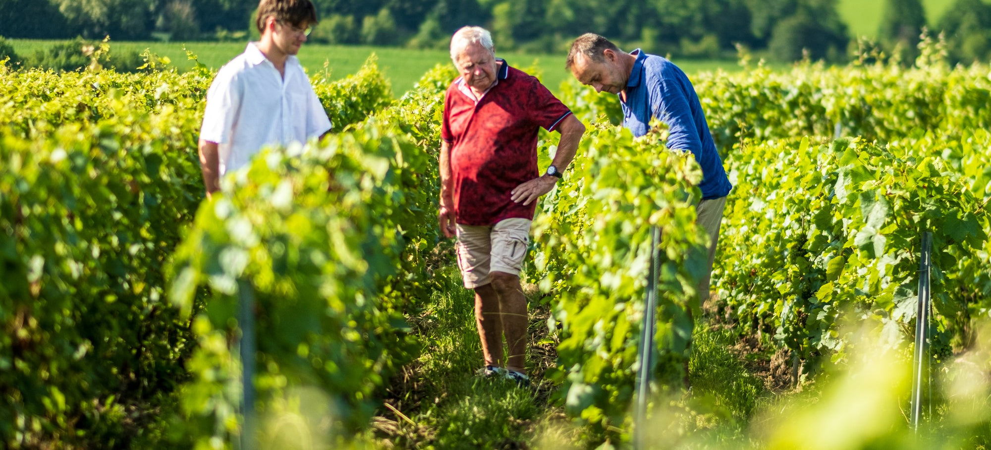 Drie generaties in de wijngaard van La Villesenière in Boursault