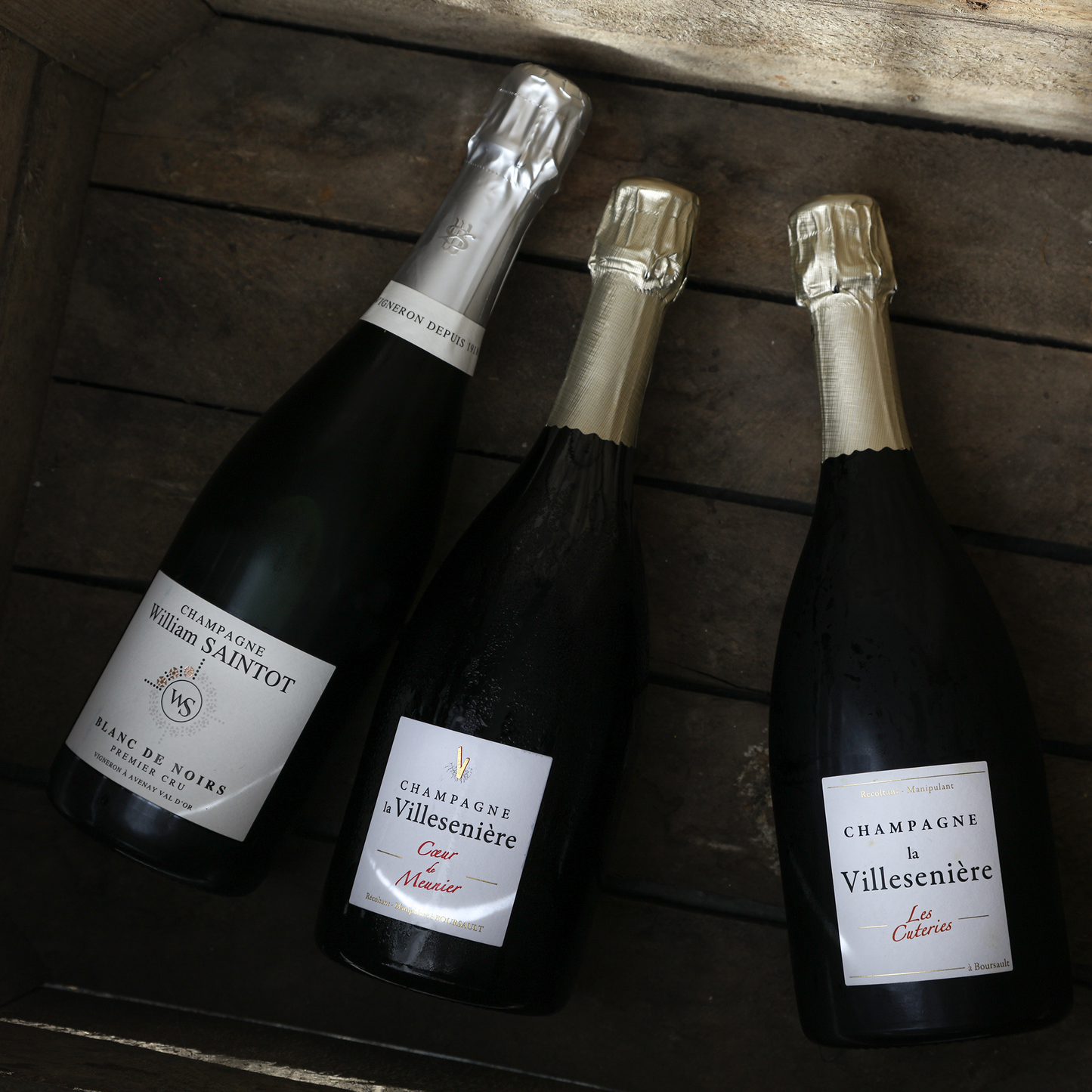 Monocépage Champagnes