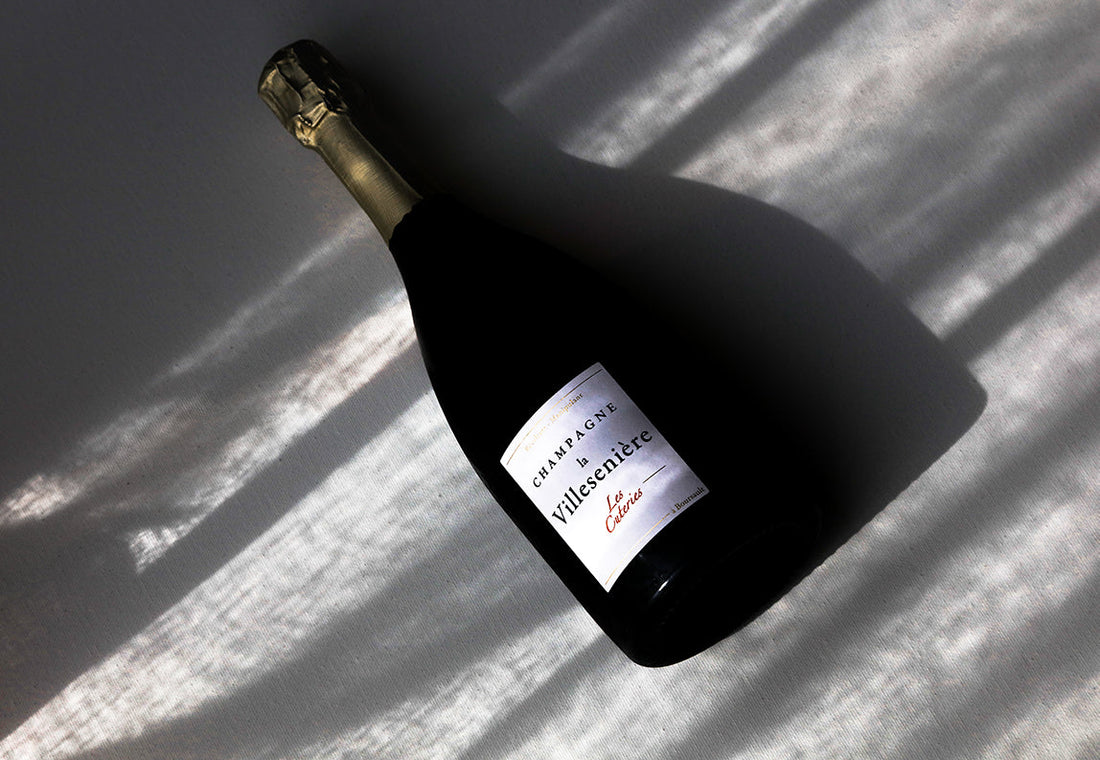 Alles over Blanc de Blancs Champagne