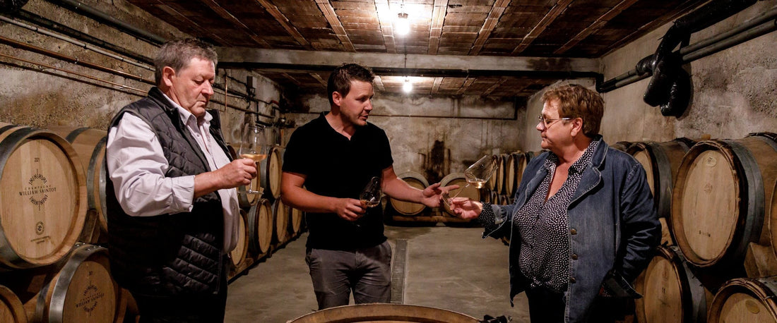Morgann Trebutien (midden) proeft in de kelder van Champagne William Saintot in Avenay Val d'Or