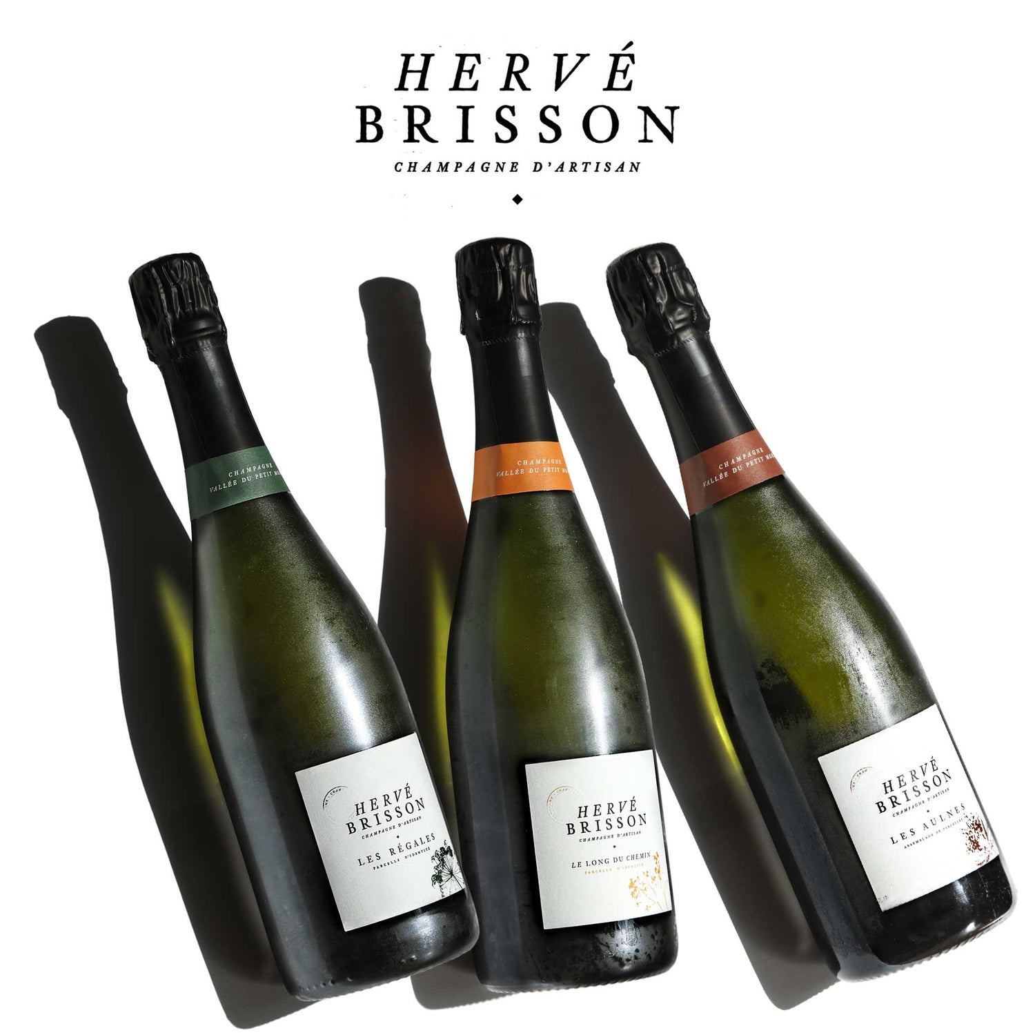 Champagne Hervé Brisson