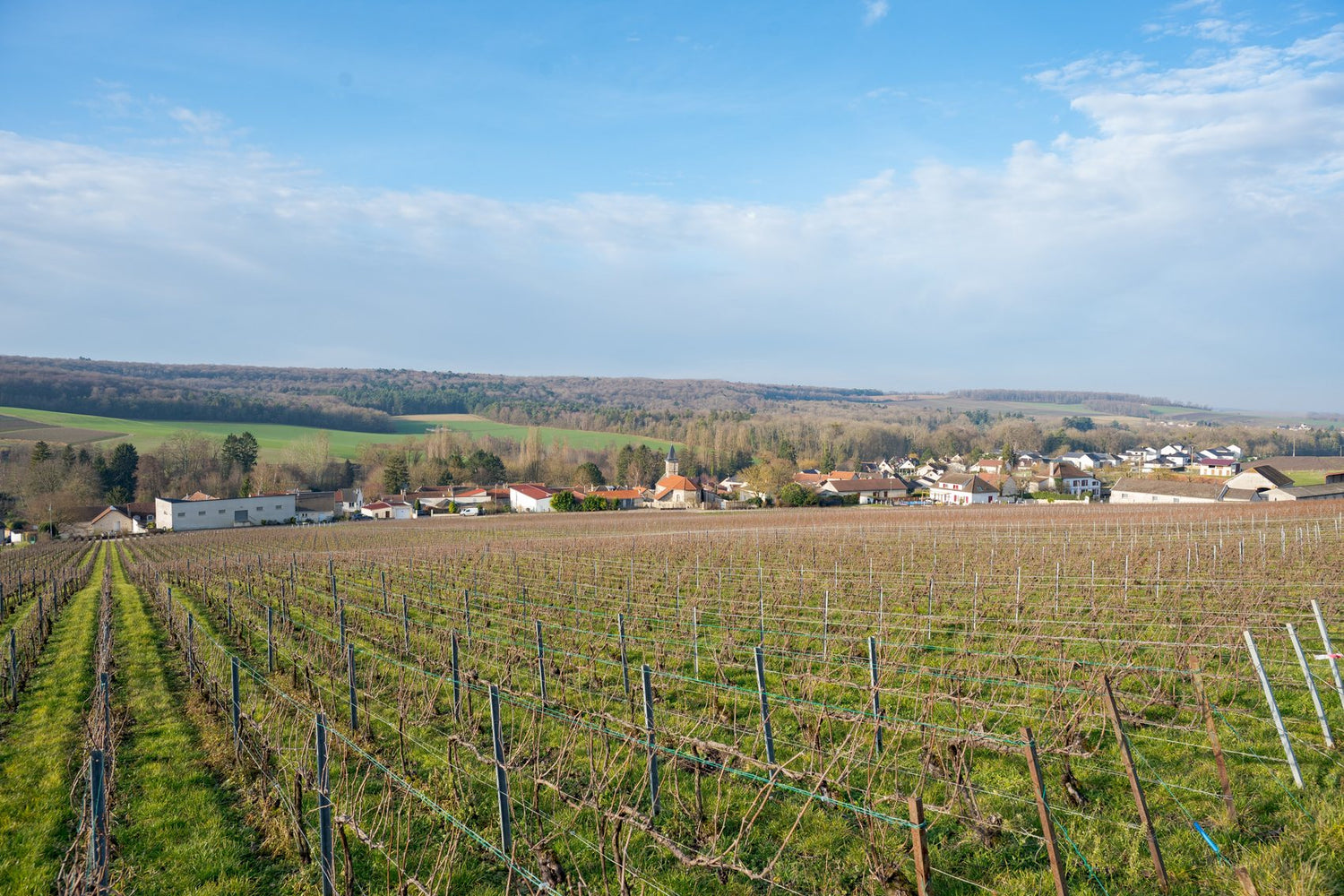 Champagne Simon Rion, kleine champagneboer uit Venteuil