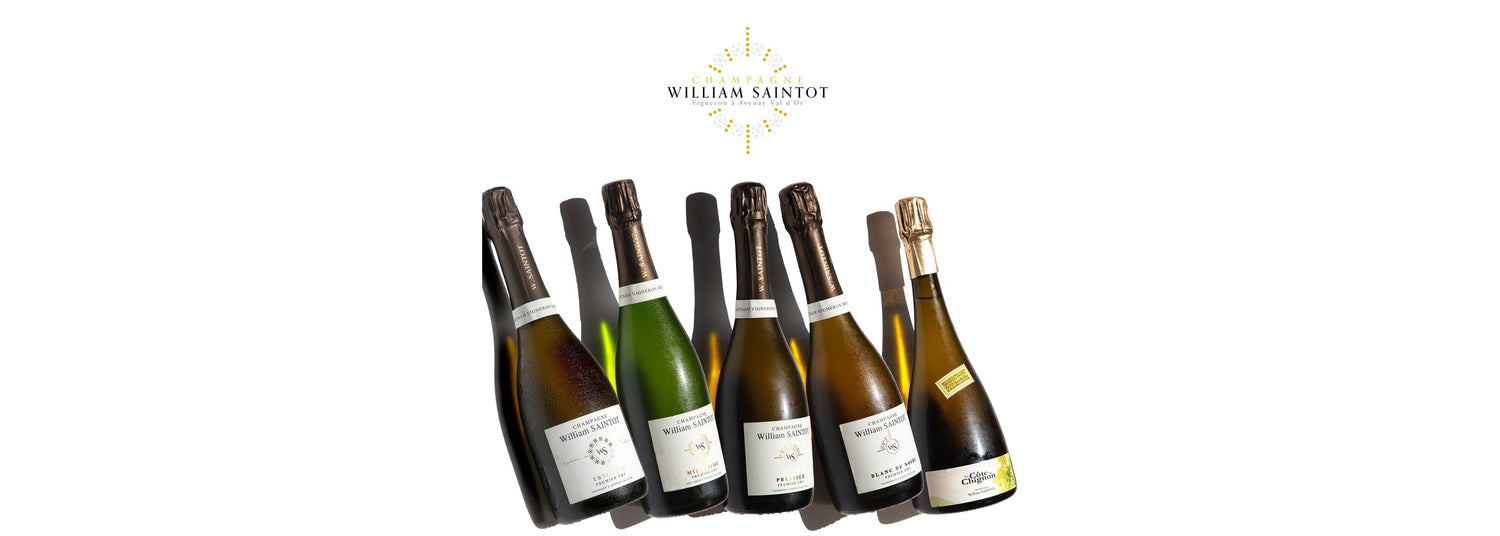 Champagne William Saintot