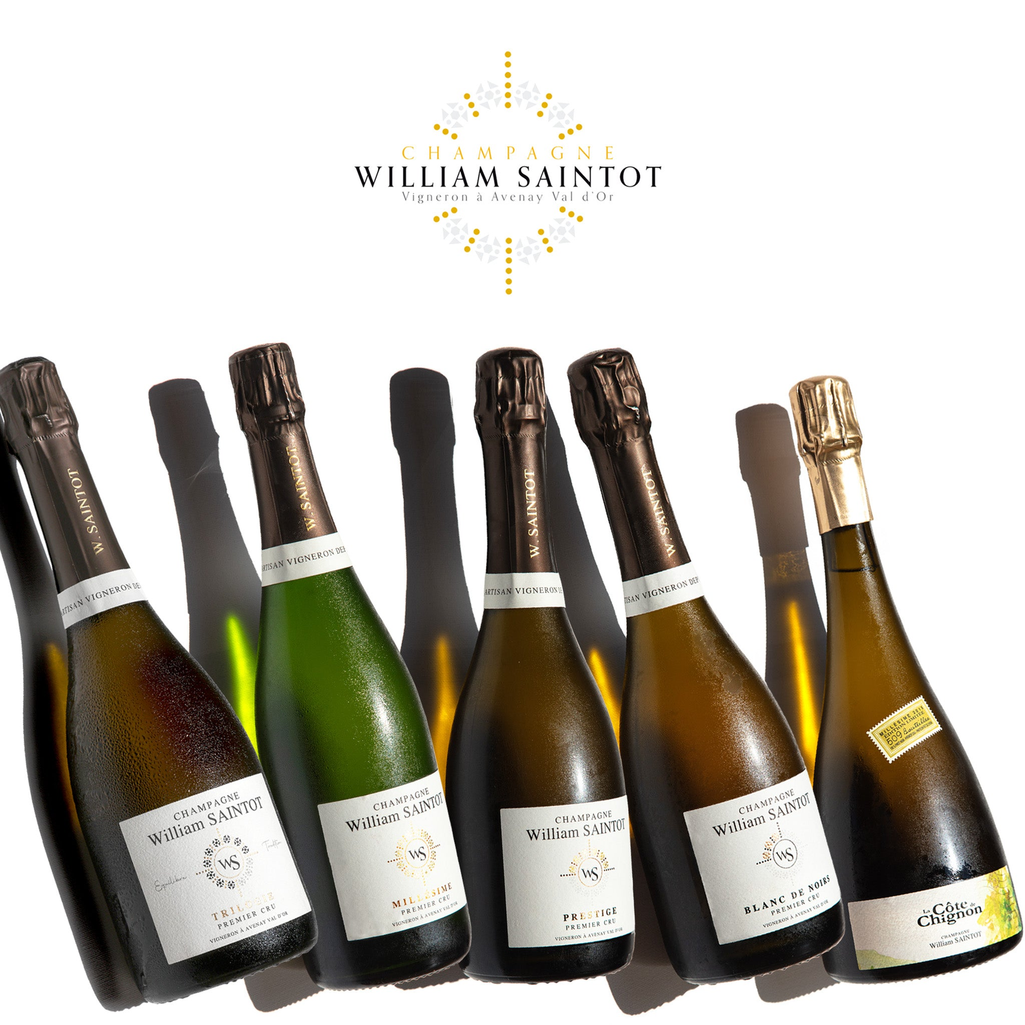 Champagne William Saintot — wijngaarden in Avenay Val d'Or, Vallée de la Marne