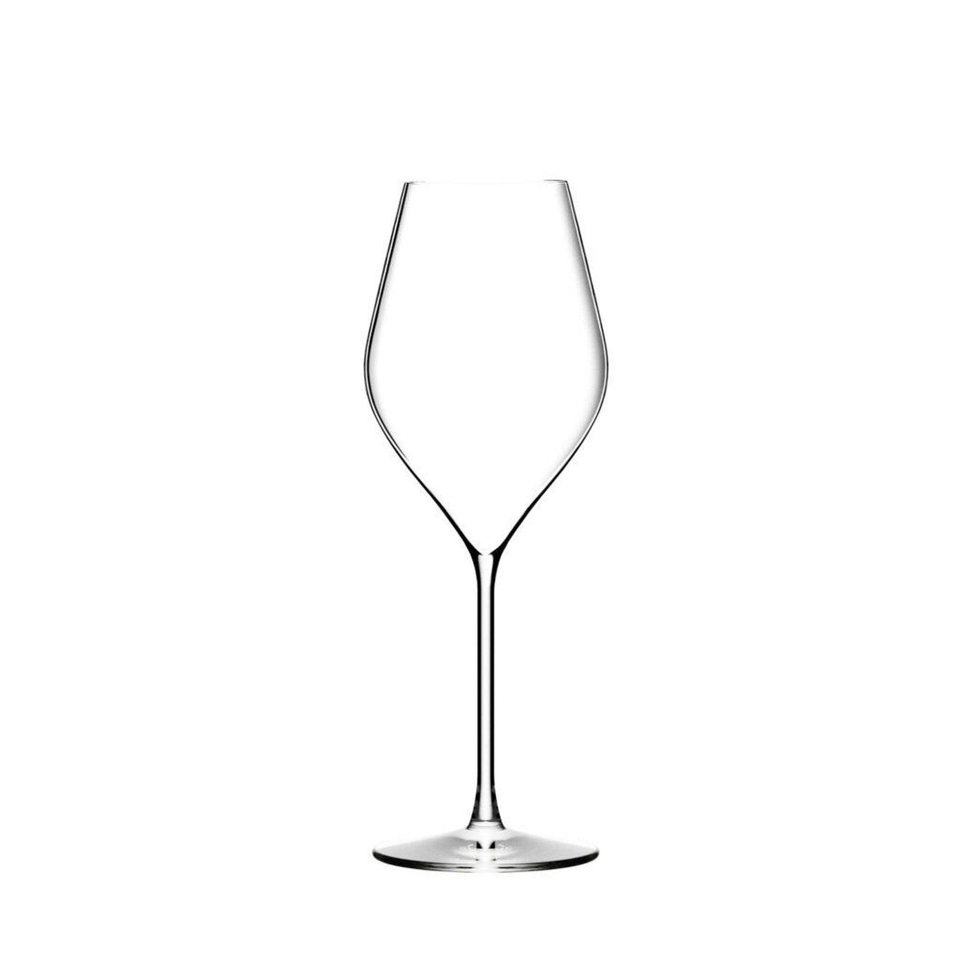 Lehmann Absolus 32 champagneglas