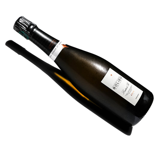 champagne-bolieu-instant-B-vintage-2014-Chardonnay-Coteaux-Vitryats