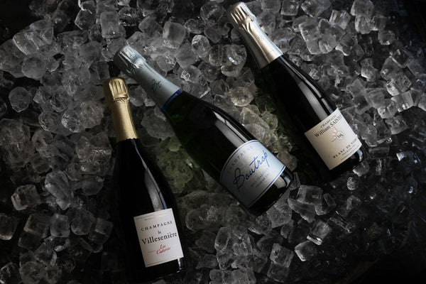 Champagner