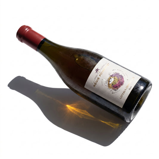 Regis Poissinet - Coteaux Champenois Rose 2022