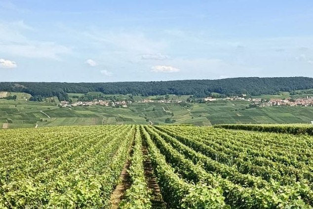 Boursault
