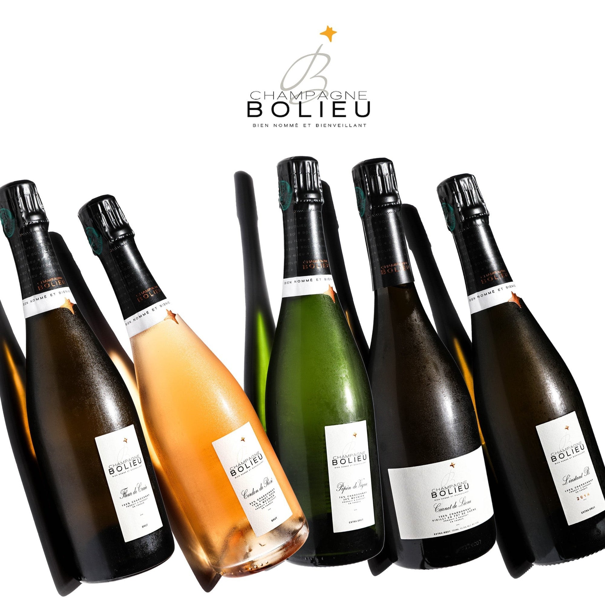 Champagne Bolieu cuvées