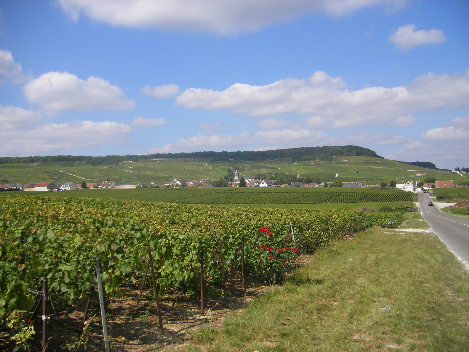 De wijngaarden en het dorp Oger aan de Cote des Blancs (foto: Szeder László, CC BY-SA 4.0, Wikimedia Commons)