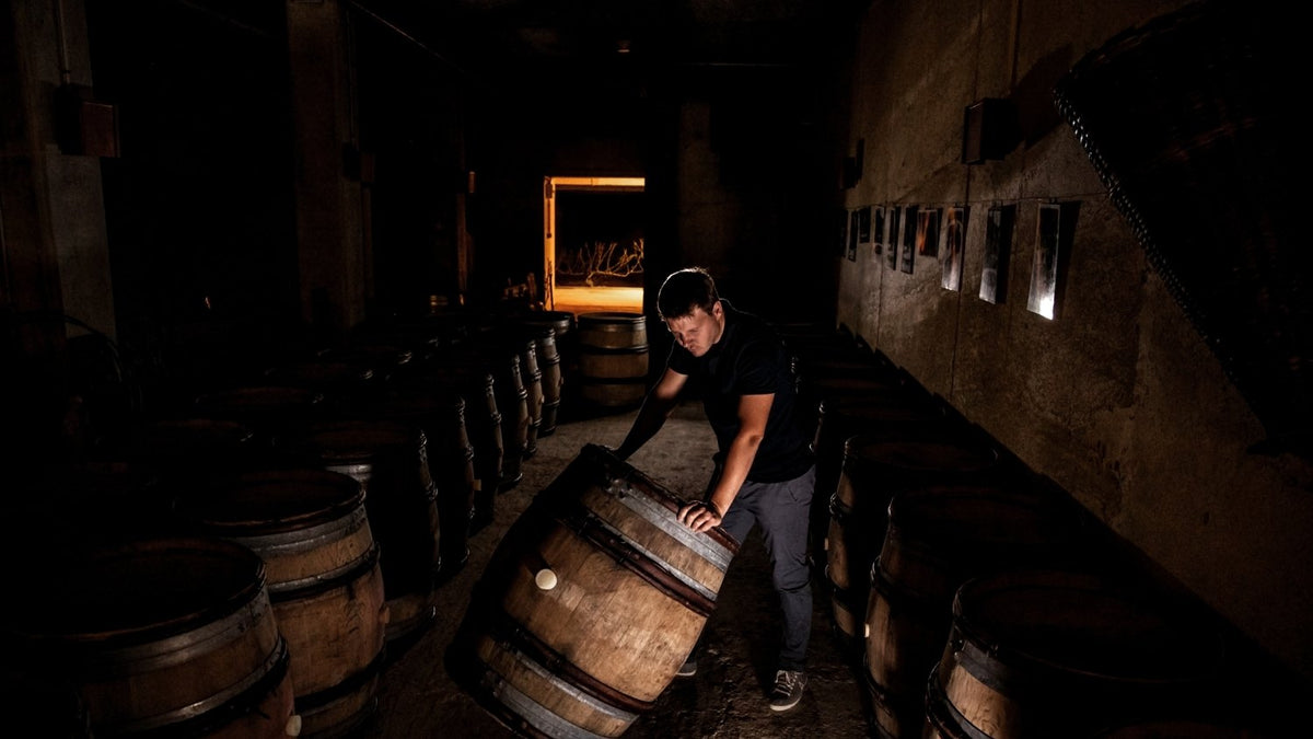 Eikenhouten barriques in de kelder van William Saintot
